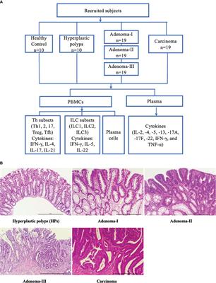 Increased circulating regulatory T cells and decreased follicular T helper cells are associated with colorectal carcinogenesis